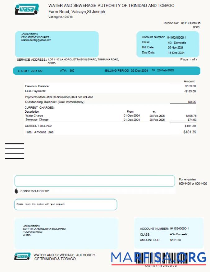 Downloadable Trinidad and Tobago WASA utility bill template in Word and PDF formats